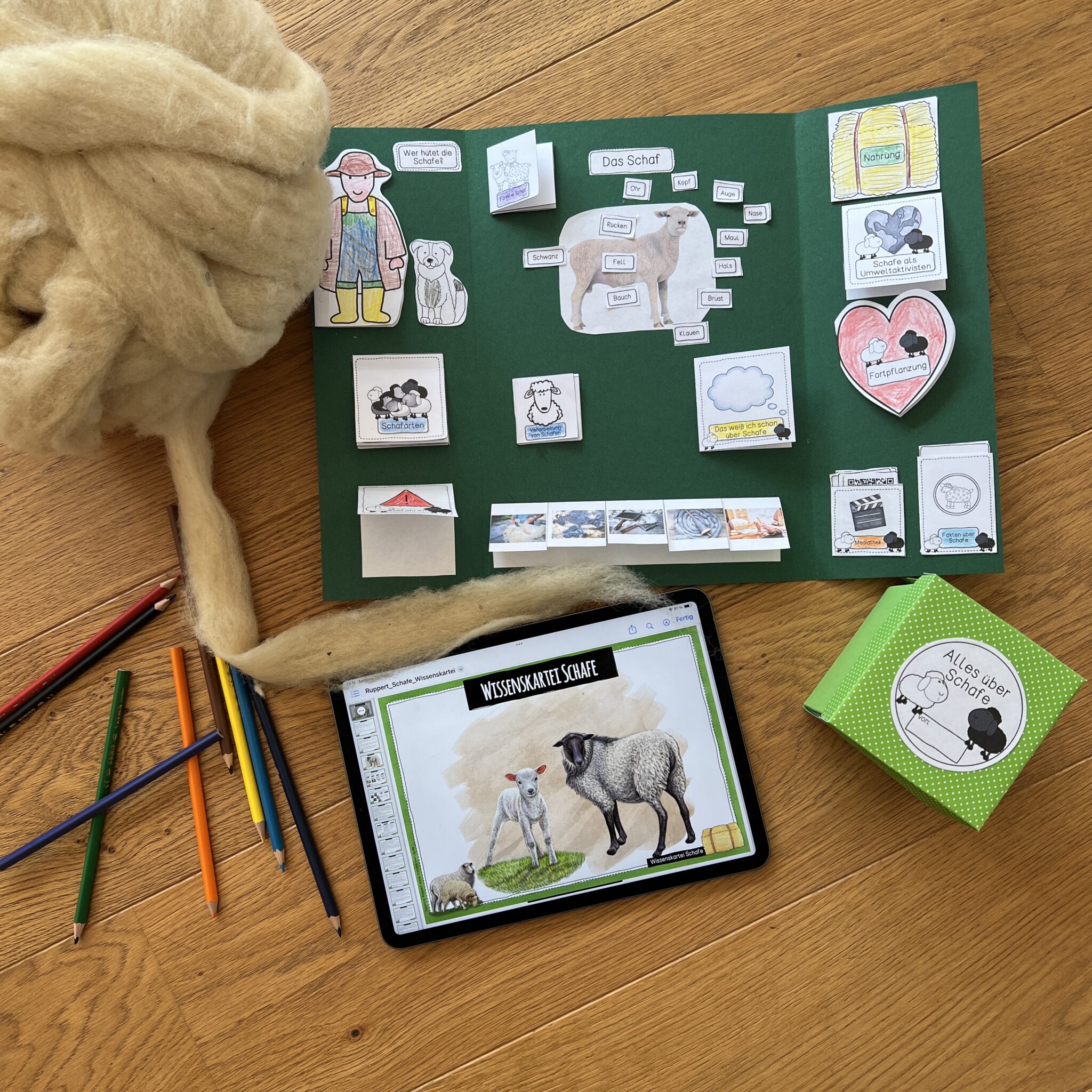 Alles Rund Ums Schaf Kartei Lapbook Und Lapbox Mrs Rup d alles-rund-ums-schaf-kartei-lapbook-und-lapbox-mrs-rup-d